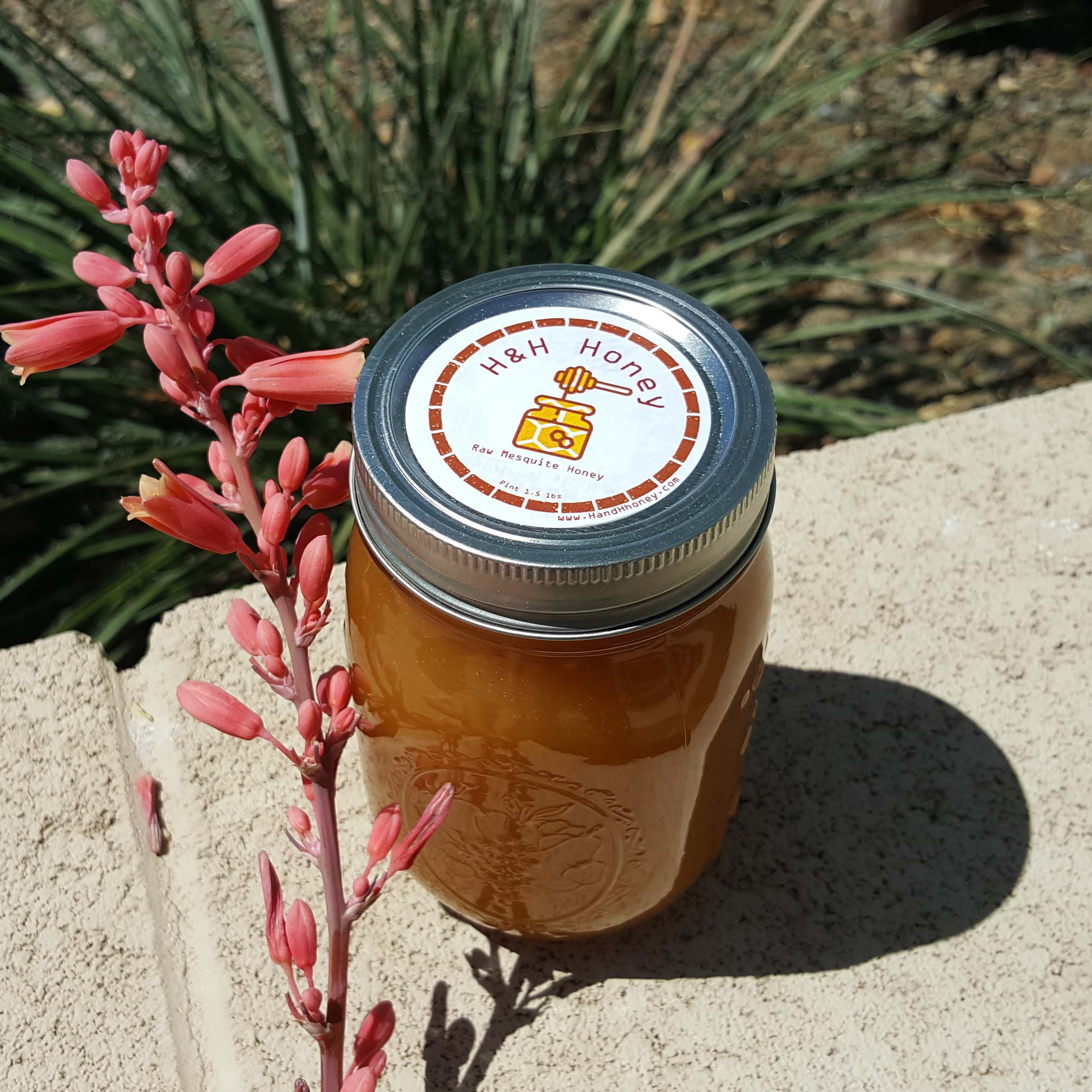Raw honey Arizona