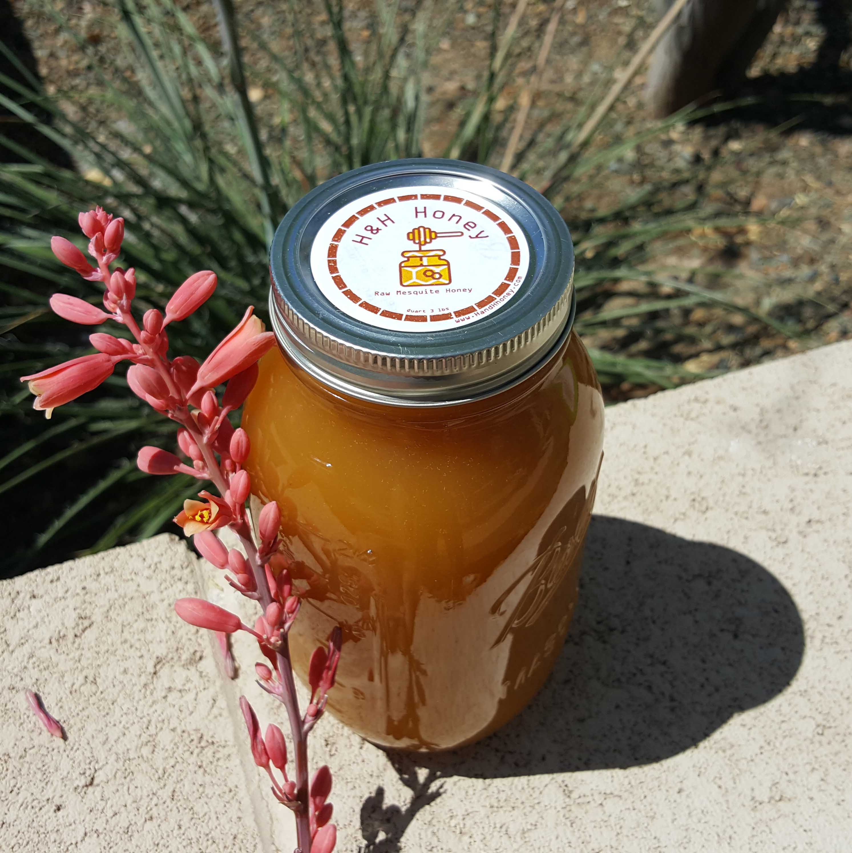 Buy Arizona Mesquite honey